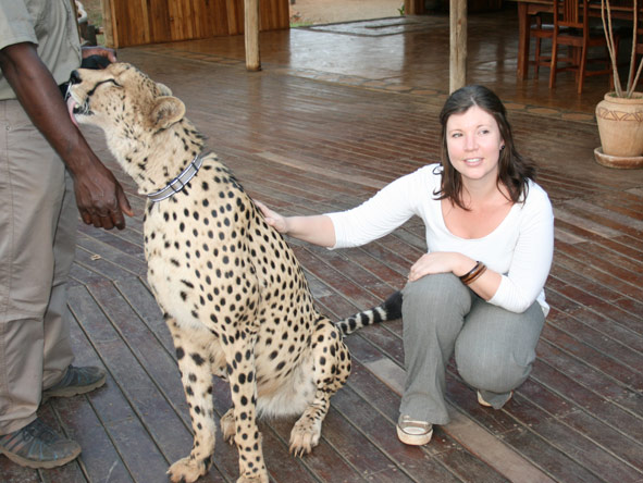 Mary Keet - cheetah interaction experience at Victoria Falls